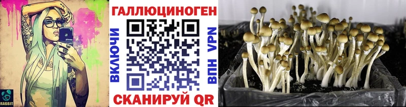 Псилоцибиновые грибы Psilocybine cubensis  купить наркотик  Керчь 